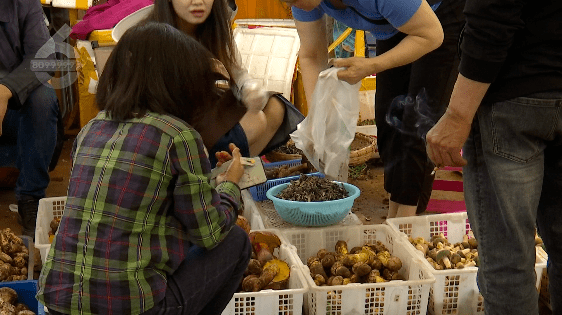 野生菌大量上市<strong></p>
<p>虚拟币上市价</strong>!全年最低价!快冲~