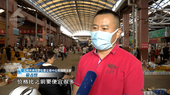 野生菌大量上市<strong></p>
<p>虚拟币上市价</strong>!全年最低价!快冲~