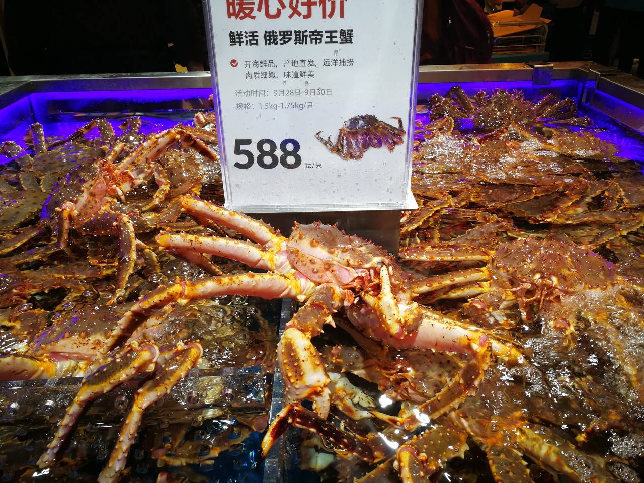 上市在即“移山价”剑指山姆，盒马CEO侯毅：开战练兵很重要