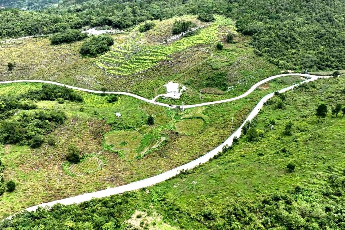 贵州平塘：荒山长出“金果子”