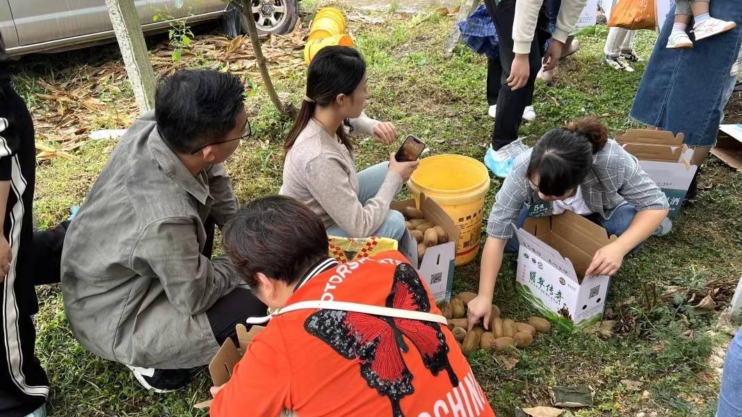 贵州修文：“金果子”搭上农文旅融合“快车”