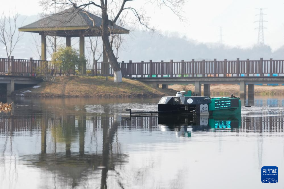 潼渚村的生态“蝶变”