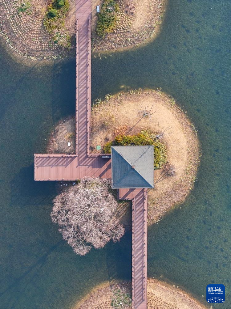 潼渚村的生态“蝶变”