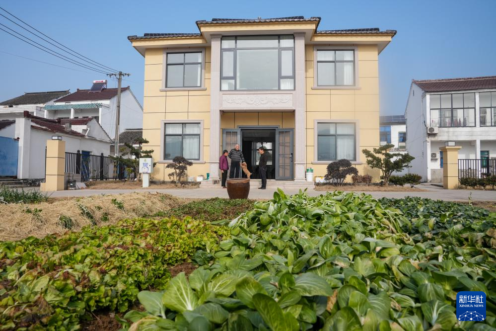 潼渚村的生态“蝶变”