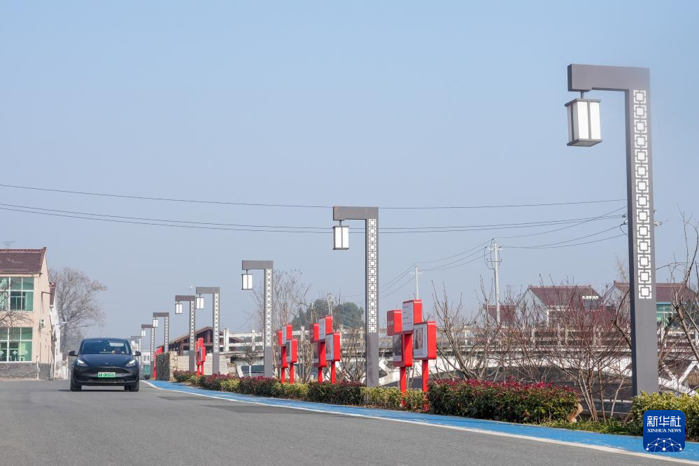 潼渚村的生态“蝶变”