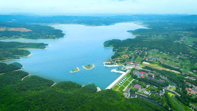 王怀霞的生态情怀