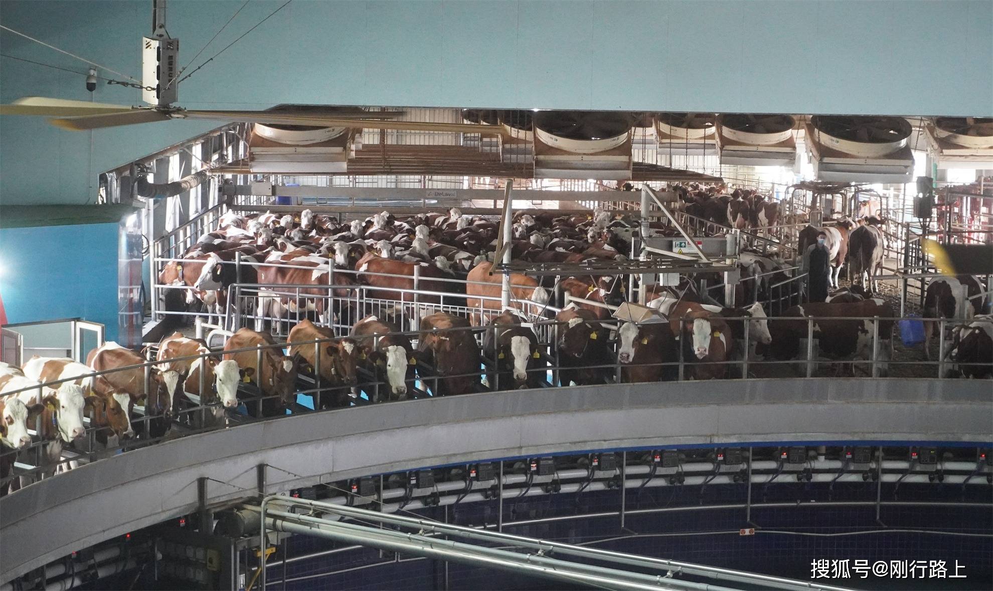 超好玩的生态牧场<strong></p>
<p>虚拟币的生态</strong>,重新定义对生态牧场的认知