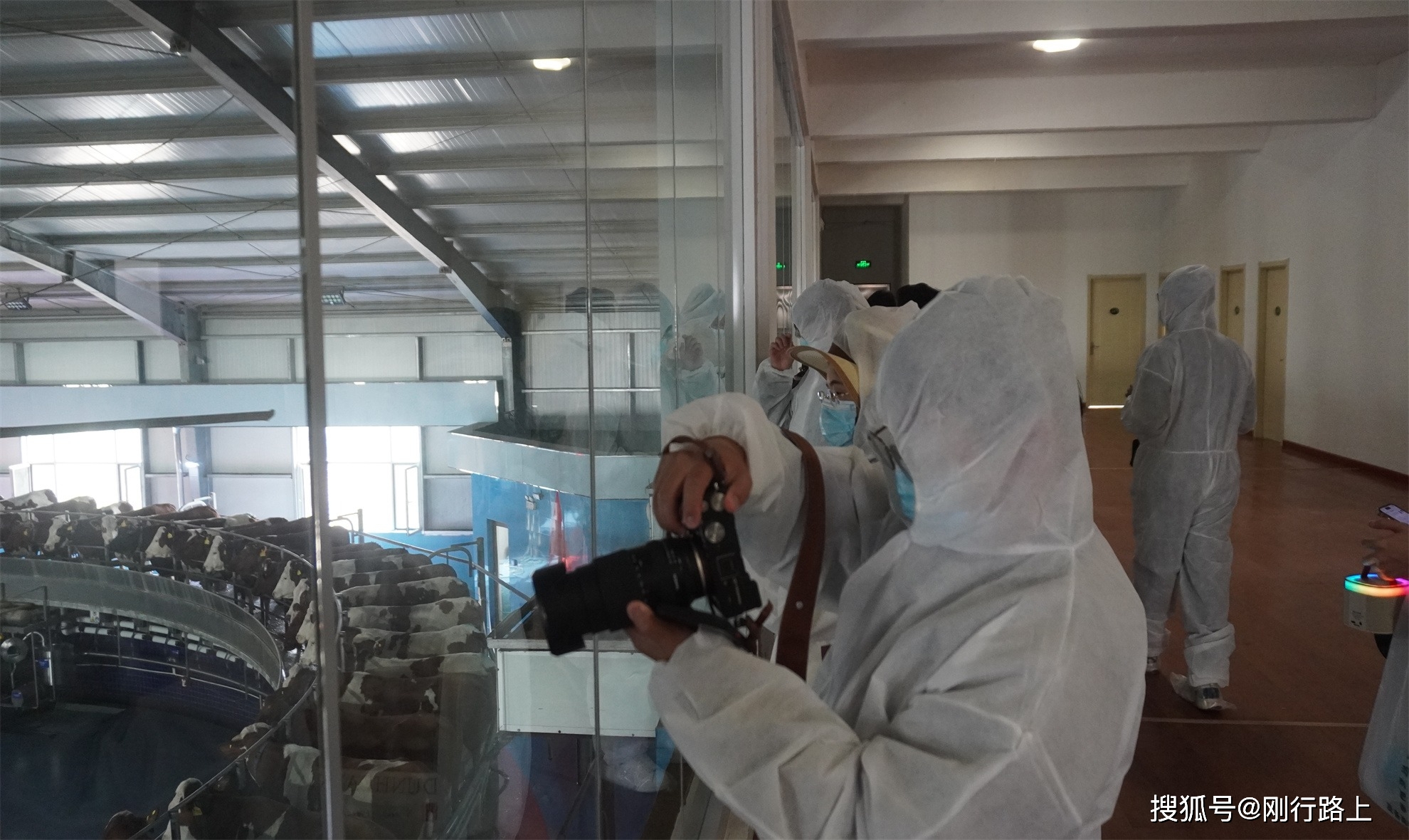 超好玩的生态牧场<strong></p>
<p>虚拟币的生态</strong>,重新定义对生态牧场的认知