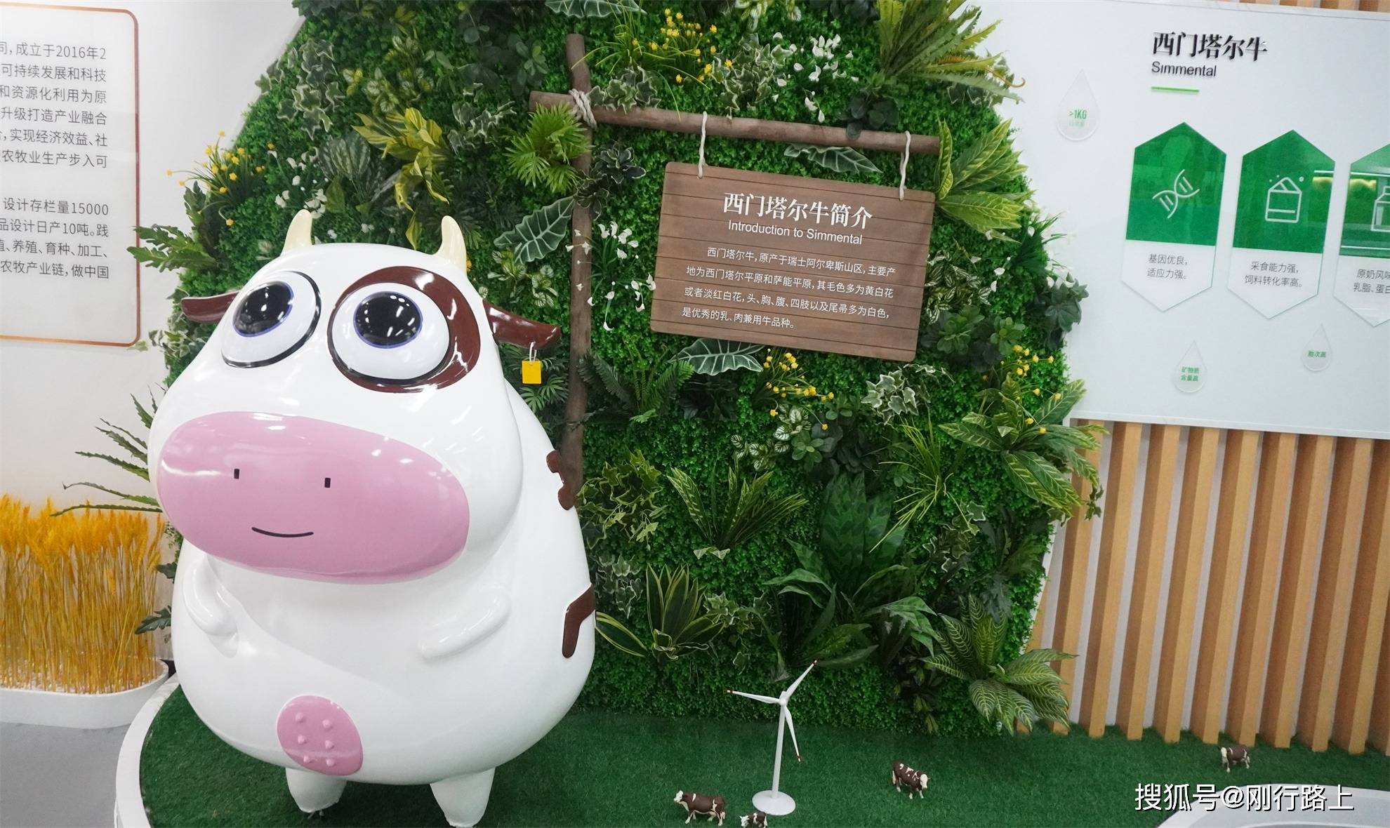 超好玩的生态牧场<strong></p>
<p>虚拟币的生态</strong>,重新定义对生态牧场的认知