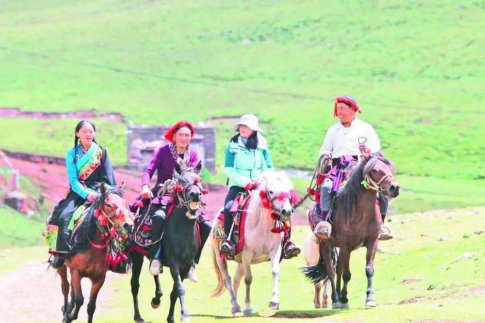 【生态玉树】玉树：马背上的“生态美”与“幸福经”