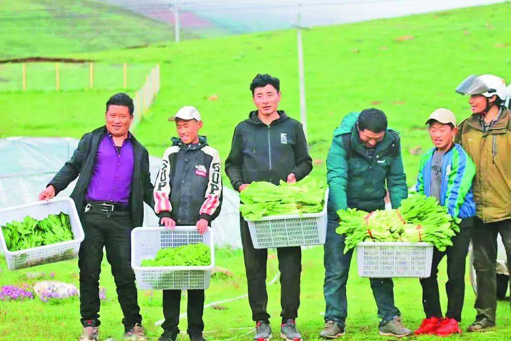 【生态玉树】玉树：马背上的“生态美”与“幸福经”