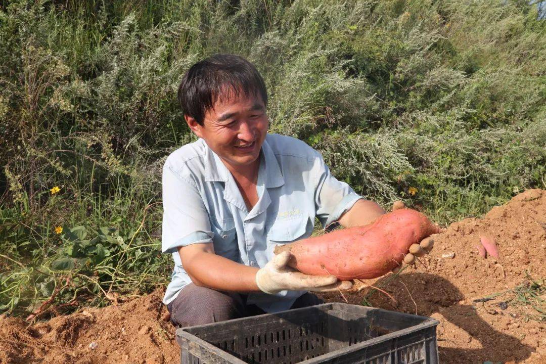 乡村文化振兴丨威海高区初村镇：“联”出共富因子<strong></p>
<p>初链虚拟币</strong>，“链”起增收产业