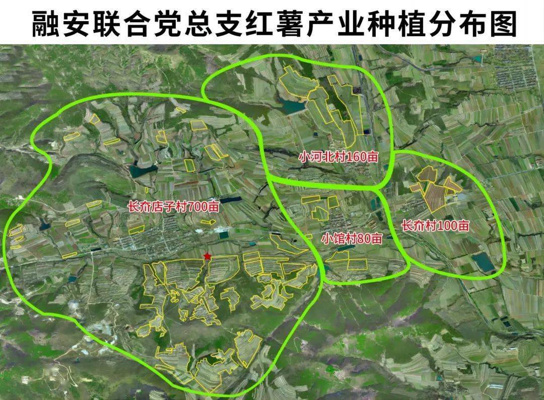 乡村文化振兴丨威海高区初村镇：“联”出共富因子<strong></p>
<p>初链虚拟币</strong>，“链”起增收产业