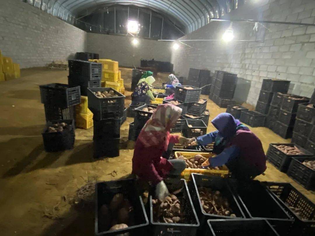 乡村文化振兴丨威海高区初村镇：“联”出共富因子<strong></p>
<p>初链虚拟币</strong>，“链”起增收产业