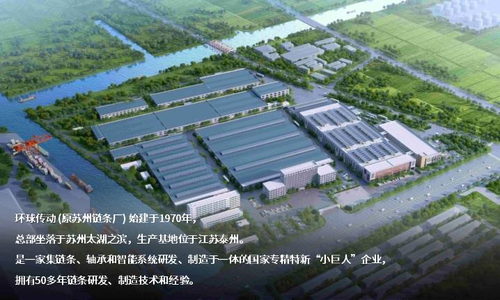 NBH链条 斗提机链条 环球链条 工程链 链条厂家 工程链厂家 非标定制 链条参数