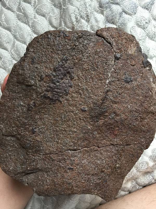 陨石鉴定去哪<strong></p>
<p>币币交易平台</strong>，警惕劣币驱逐良币