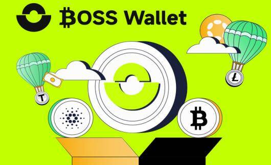 朱利安·阿桑奇传奇:从维基解密到比特币捐赠<strong></p>
<p>虚拟人名币</strong>,明星光环下的多重虚拟币博弈