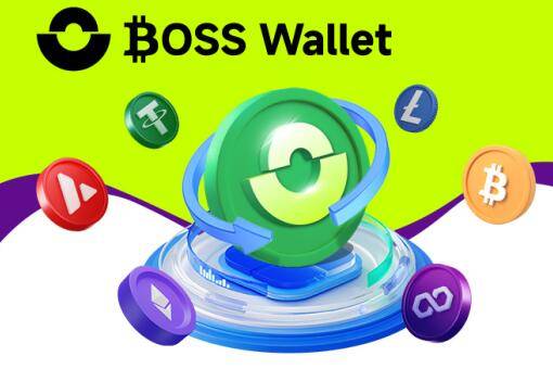 朱利安·阿桑奇传奇:从维基解密到比特币捐赠<strong></p>
<p>虚拟人名币</strong>,明星光环下的多重虚拟币博弈