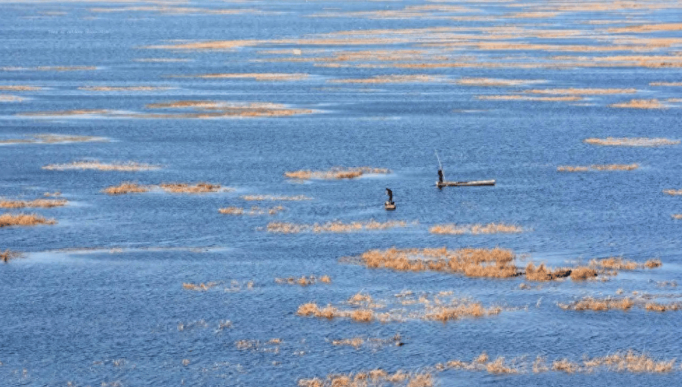 贵州草海藏鱼1.2亿条<strong></p>
<p>5亿虚拟币</strong>,禁渔5年被啃成秃海!长江会重蹈覆辙吗?