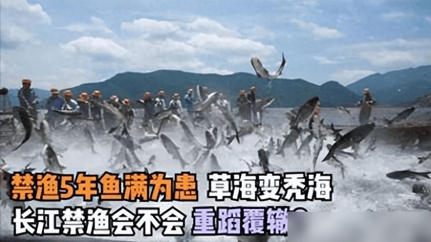 贵州草海藏鱼1.2亿条<strong></p>
<p>5亿虚拟币</strong>,禁渔5年被啃成秃海!长江会重蹈覆辙吗?