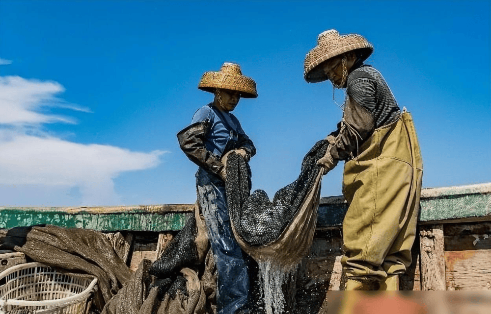 贵州草海藏鱼1.2亿条<strong></p>
<p>5亿虚拟币</strong>,禁渔5年被啃成秃海!长江会重蹈覆辙吗?