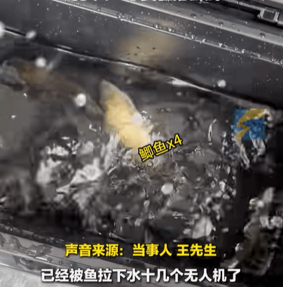 男子在家操控无人机钓鱼<strong></p>
<p>股转虚拟币</strong>,当天就钓上十几条,当事人:不要轻易尝试,已被鱼拉下水十几个无人机