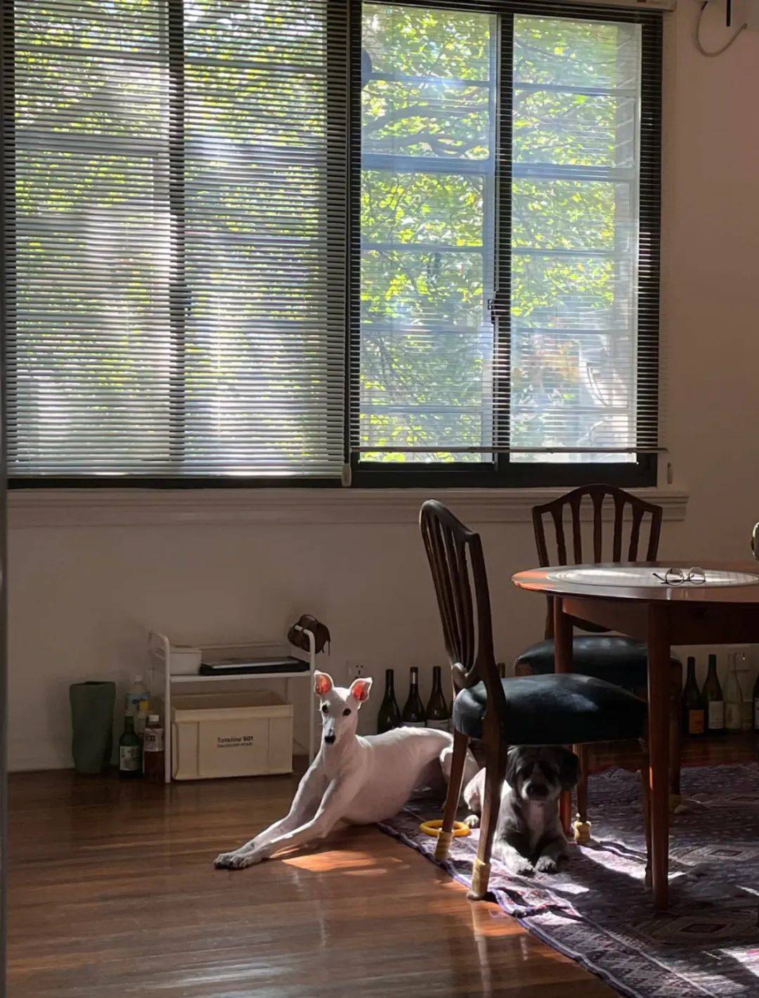 辞职、出国、卖掉老洋房<strong></p>
<p>虚拟币GA</strong>,一个上海精英决定换种生活