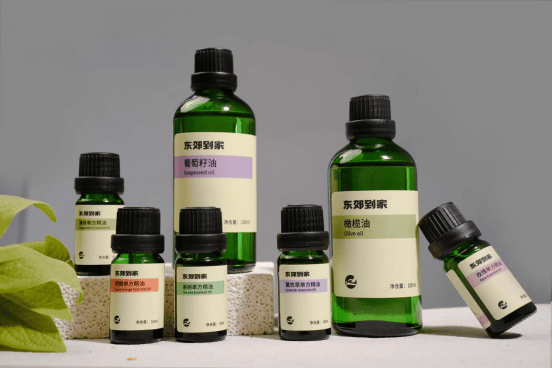 东郊到家:匠心传承与科技创新<strong></p>
<p>虚拟币GA</strong>,重塑健康服务新格局