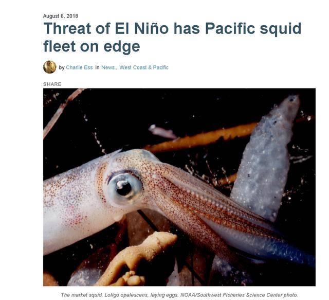 说“中国人吃太多肉”后<strong></p>
<p>虚拟币GA</strong>,美媒又盯上了……