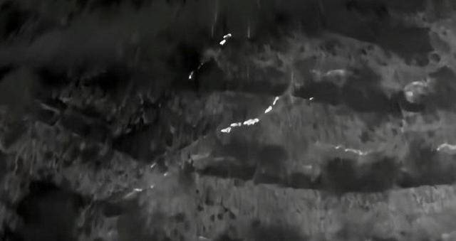 云南“6头野猪从天而降”<strong></p>
<p>虚拟币取钱</strong>？实为被猎捕时跳崖 对话野猪“赏金猎人”：干这行不赚钱