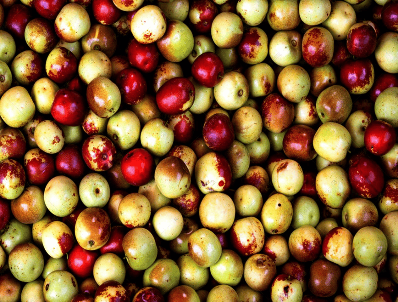 “含糖量”极高<strong></p>
<p>虚拟币余额</strong>！解锁“北方水果公园”山西万荣的甜蜜