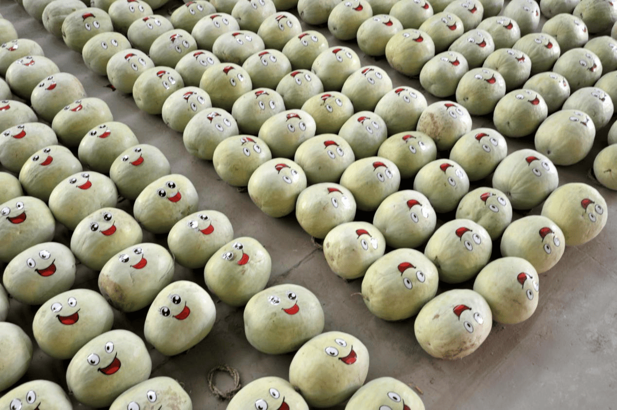 “含糖量”极高<strong></p>
<p>虚拟币余额</strong>！解锁“北方水果公园”山西万荣的甜蜜