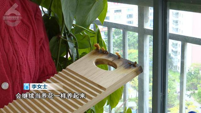 “可以蒸蛋”！昆明一女子家中搓衣板上长菌<strong></p>
<p>抵押虚拟币</strong>，品种竟是……