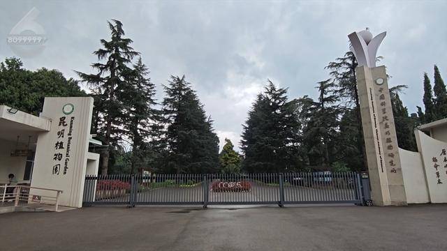 “可以蒸蛋”！昆明一女子家中搓衣板上长菌<strong></p>
<p>抵押虚拟币</strong>，品种竟是……