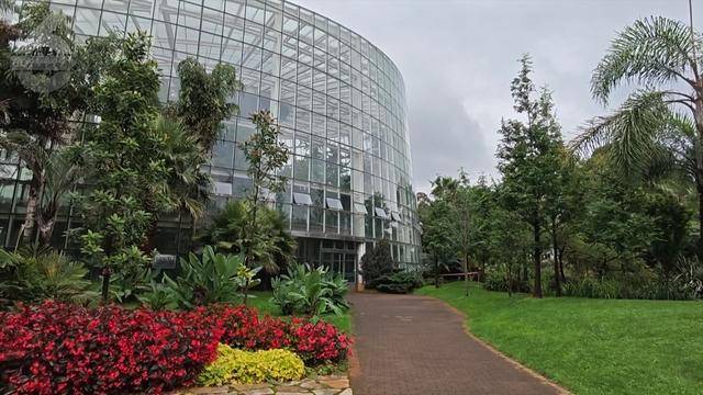 “可以蒸蛋”！昆明一女子家中搓衣板上长菌<strong></p>
<p>抵押虚拟币</strong>，品种竟是……