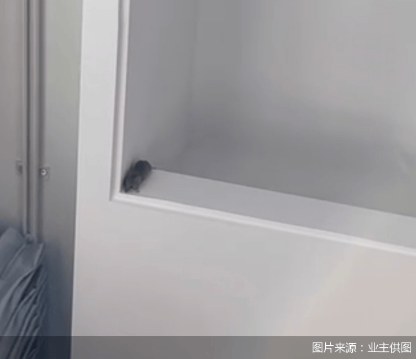 老鼠乱窜、直饮水发黄<strong></p>
<p>虚拟币换汇</strong>，北京业主千万元买的和锦诚园居然是这样