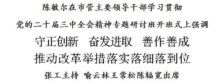 陈敏尔：守正创新，奋发进取，善作善成，推动改革举措落实落细落到位