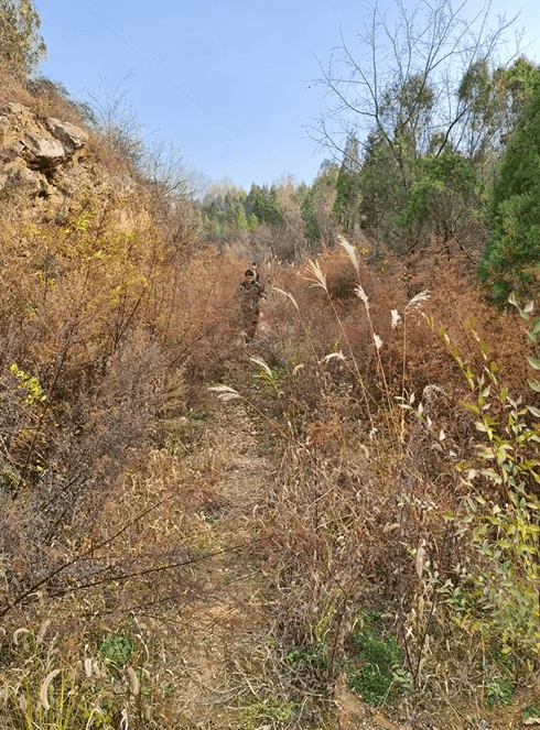 山西晋城20岁女子失联3天<strong></p>
<p>虚拟币换汇</strong>,找过荒山旧屋枯井,哥哥:她有抑郁症