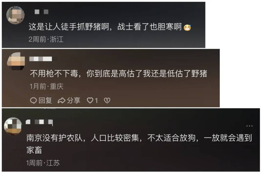 91.5万元打300头野猪<strong></p>
<p>澳波虚拟币</strong>，南京一企业中标后弃标，知情人：人手不够