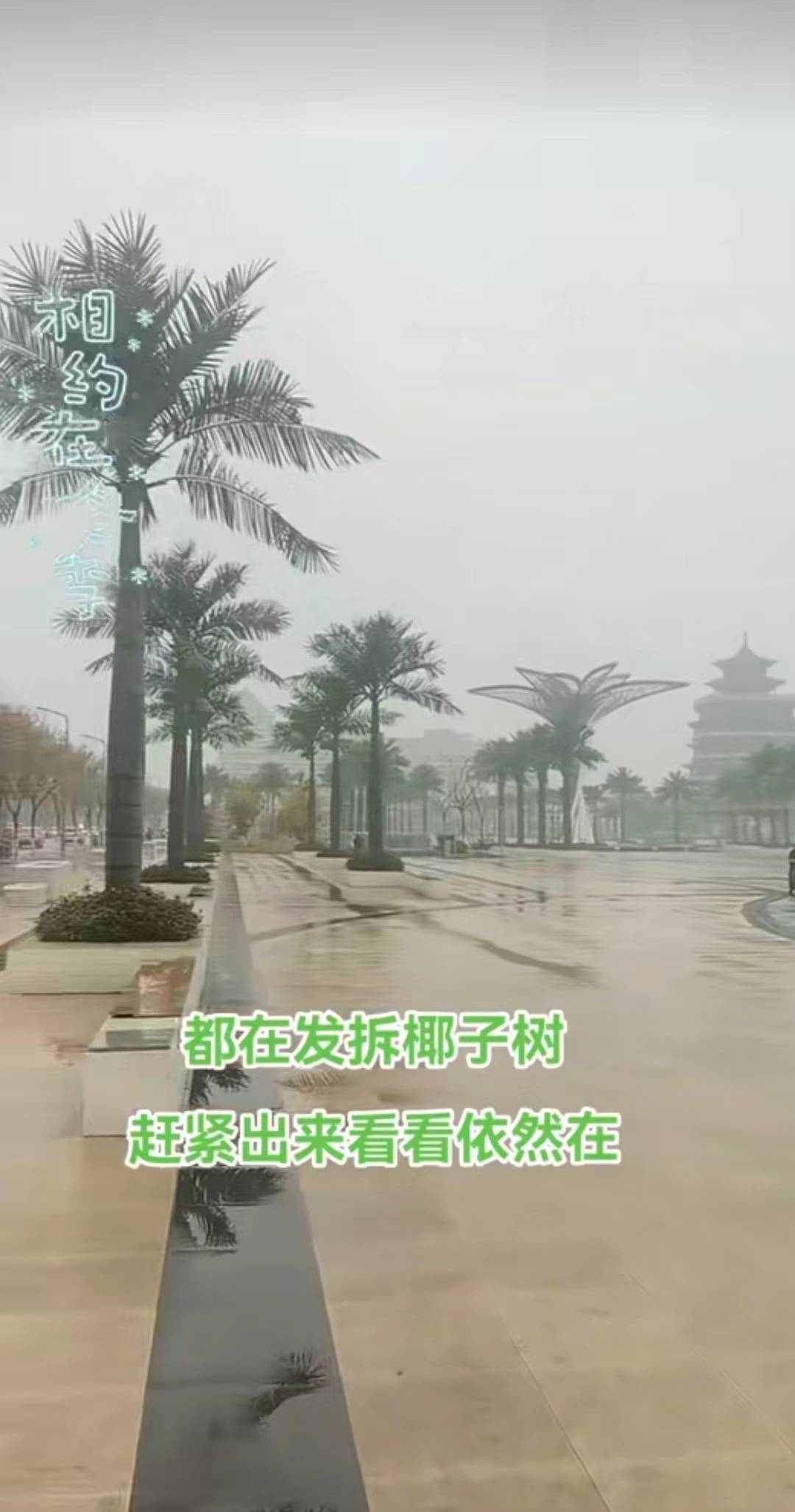 太原清徐县违规使用资金被通报<strong></p>
<p>澳波虚拟币</strong>，当地拆除违规景观，政府：已拆除一部分