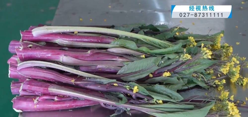 武汉人爱吃!最高1000元一斤<strong></p>
<p>虚拟ai币</strong>,供不应求