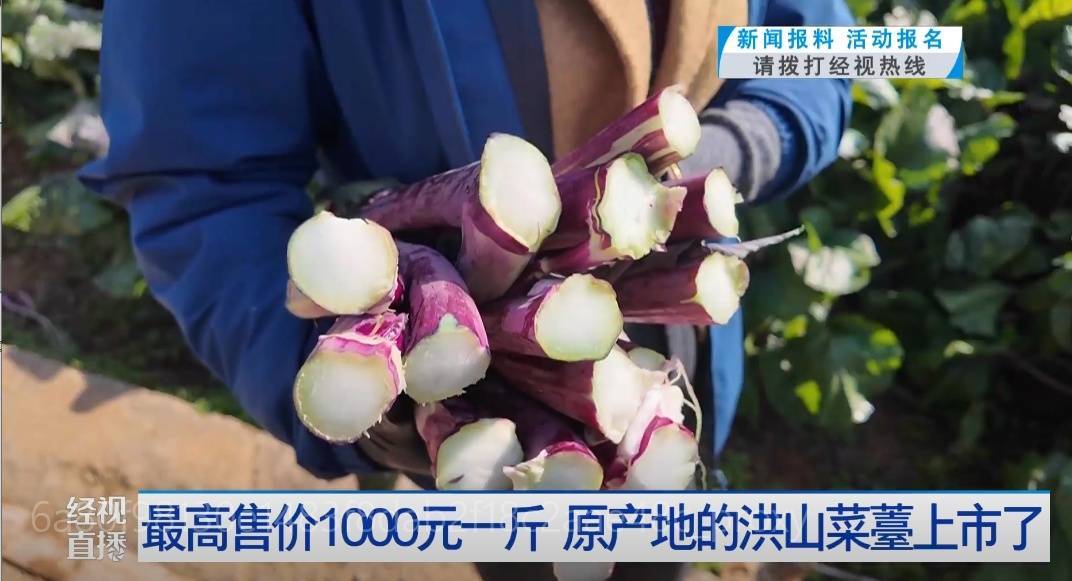 武汉人爱吃!最高1000元一斤<strong></p>
<p>虚拟ai币</strong>,供不应求