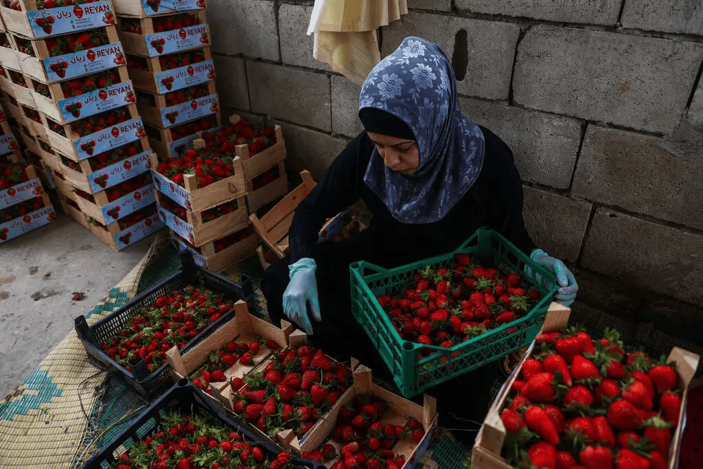 叙利亚战火持续<strong></p>
<p>虚拟币雷币</strong>,攻下阿勒颇的反对派武装到底什么来头?在下一盘什么棋?