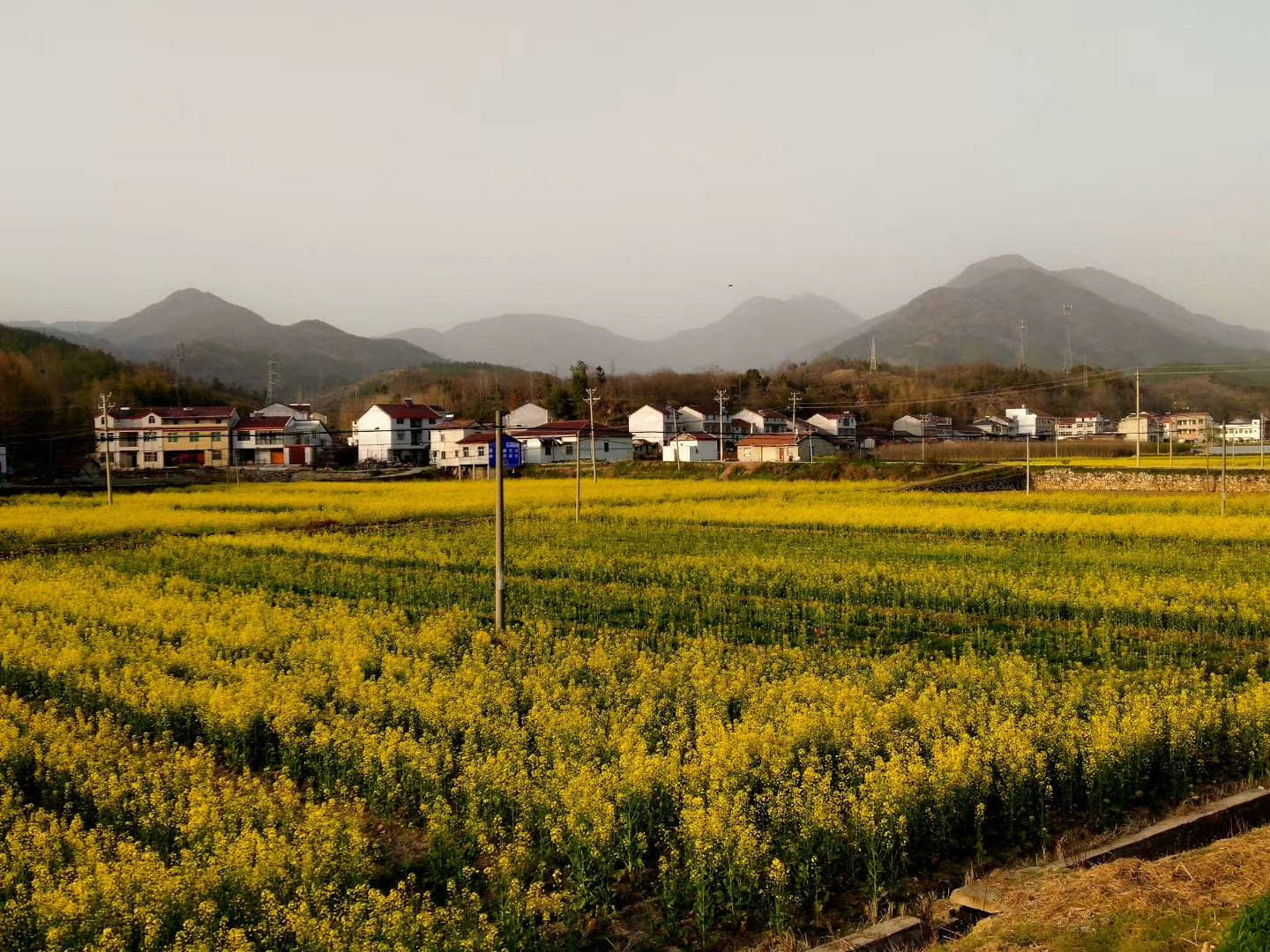 先休学再考985硕士 她逃出内卷却成卷王