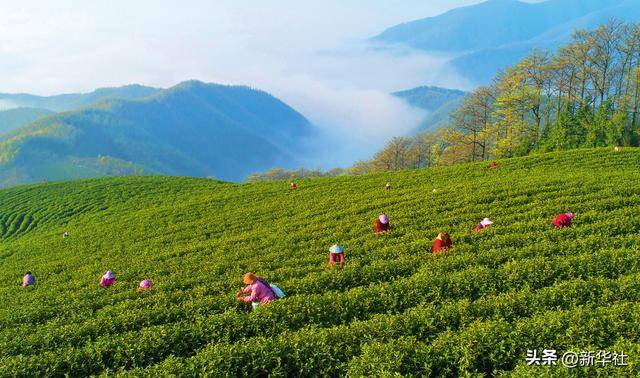 瞭望·治国理政纪事|“<strong></p>
<p>虚拟币寸头</strong>我也是个老基层”