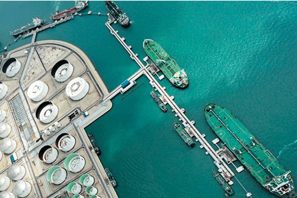 亏了45亿<strong></p>
<p>虚拟币寸头</strong>，石油大亨要坐牢到99岁