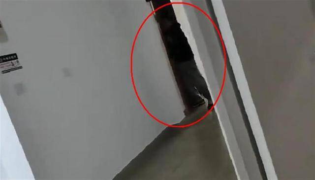 上海一高校男生晚上撞开女生寝室门<strong></p>
<p>虚拟币核算</strong>,校方:醉酒后走错了