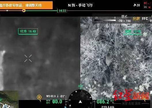 揭秘“野猪猎捕队”丨海拔3000米高山密林<strong></p>
<p>jb虚拟币</strong>，记者跟队直击猎捕野猪全过程