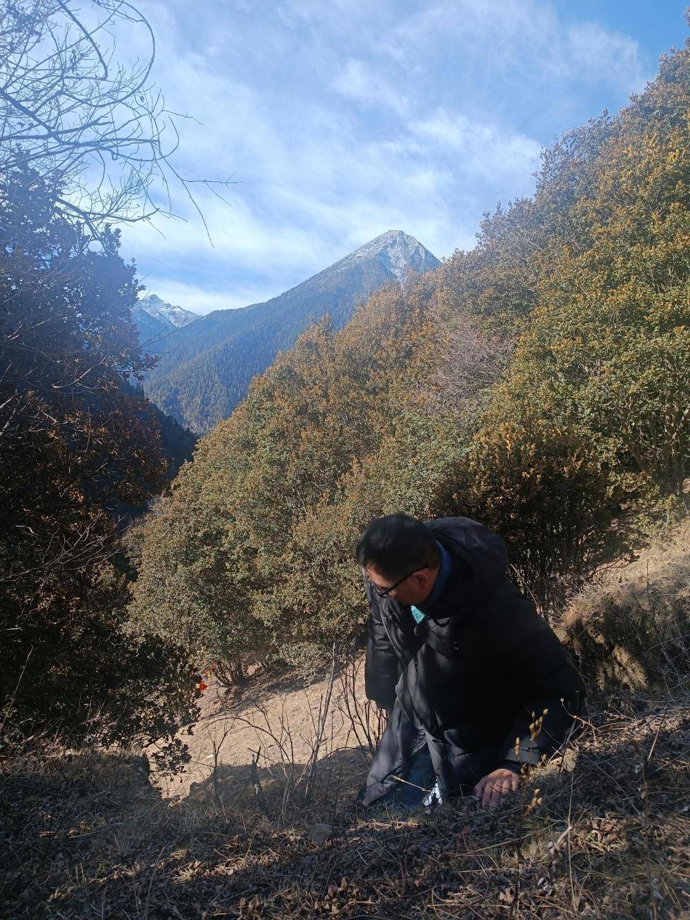 揭秘“野猪猎捕队”丨海拔3000米高山密林<strong></p>
<p>jb虚拟币</strong>，记者跟队直击猎捕野猪全过程