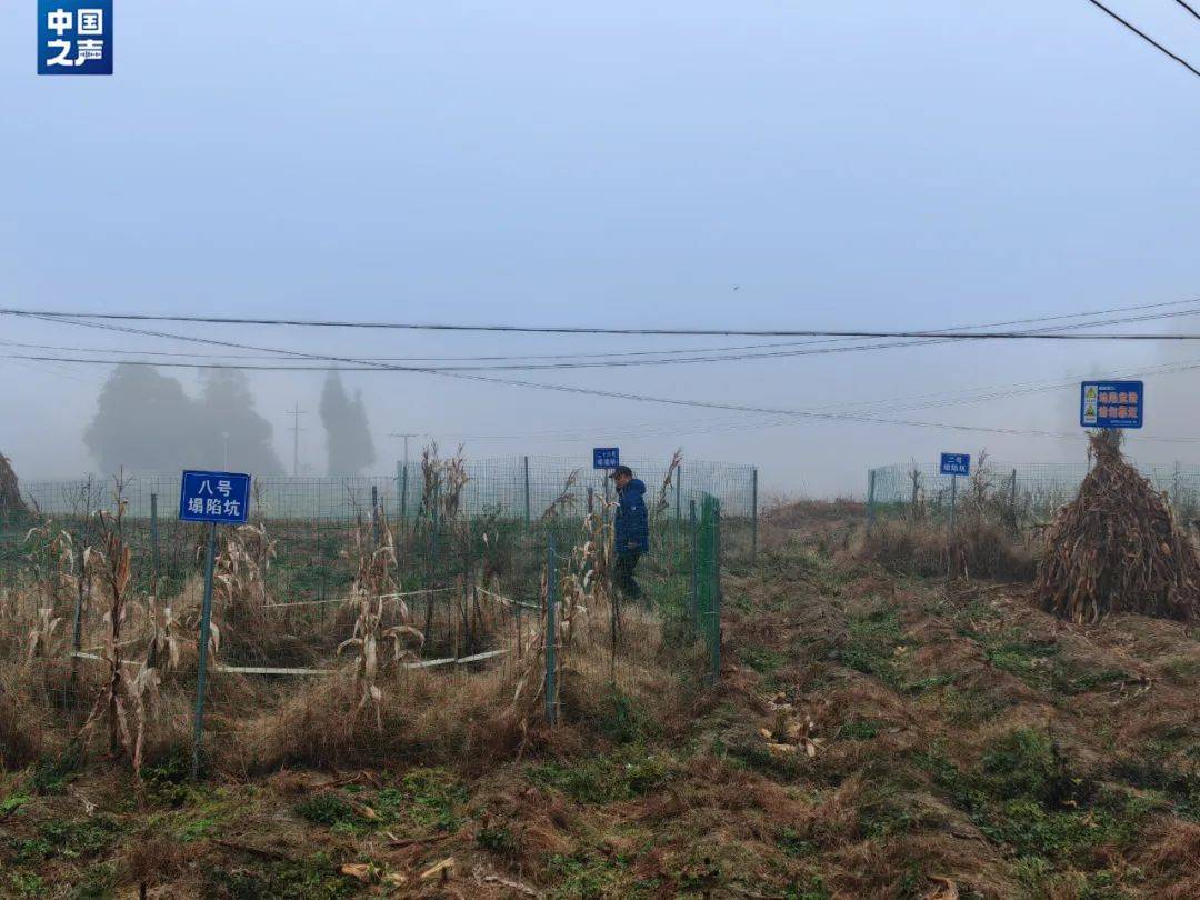贵州一地发生30多处地面塌陷<strong></p>
<p>jb虚拟币</strong>!咋回事?